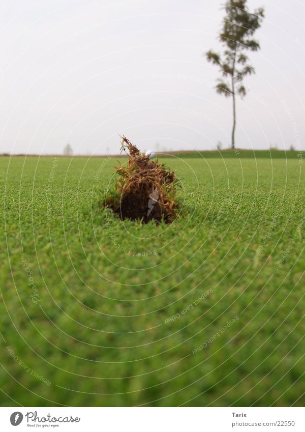 pitch mark Golf Lawn Hollow Earth