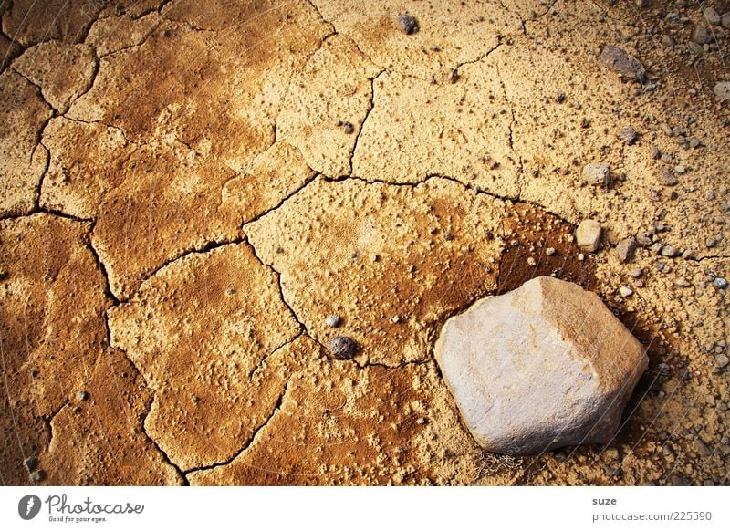 Extra dry Environment Nature Earth Climate Climate change Drought Desert Sustainability Dry Brown Crack & Rip & Tear Sparse Stone Ochre Deserted Bird's-eye view