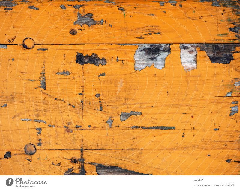 Beyond the mainstream orangery. Bench Dye Scratch mark Tracks Abrasion Ravages of time Background picture Old Near Orange Decline Transience Destruction