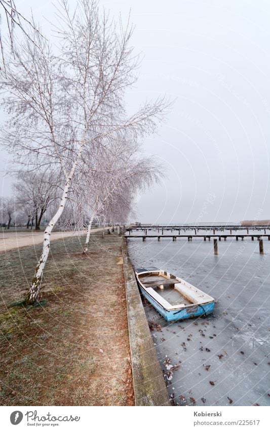 aground Winter Rowboat Water Ice Frost Tree Lakeside Inland navigation Old Cold Broken Serene Calm Loneliness Stagnating Past Change Colour photo Wide angle