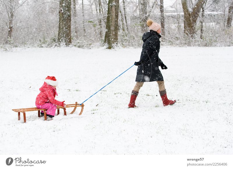 first snow Sledding Winter Snow Human being Feminine Child Girl Woman Adults Female senior Grandmother 2 3 - 8 years Infancy 45 - 60 years Brown Pink Black