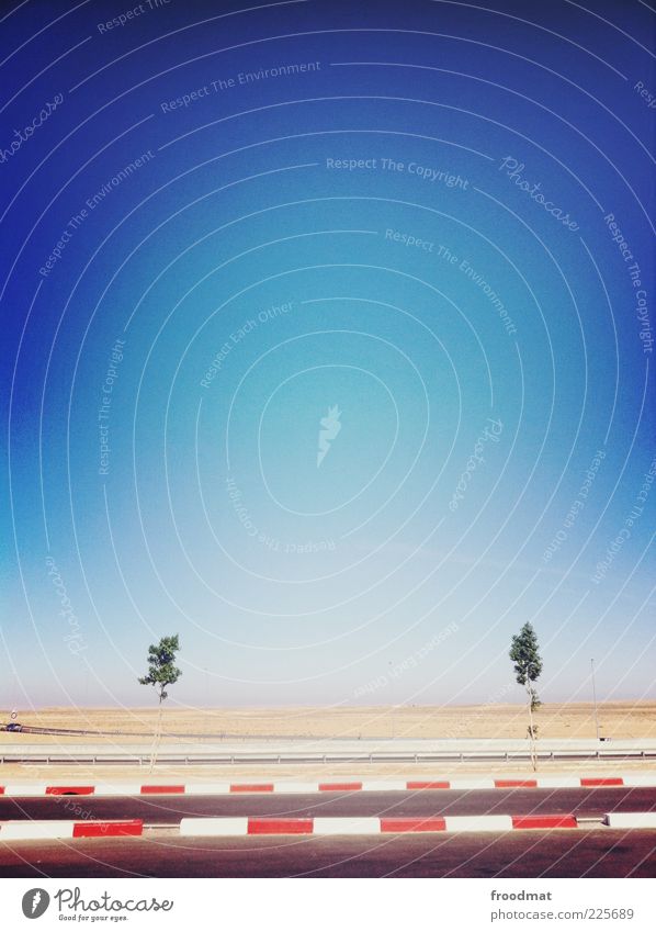 sad Cloudless sky Summer Beautiful weather Tree Desert Infinity Wanderlust Loneliness Morocco Street Curbside Minimalistic Vignetting Blue Deserted Colour photo