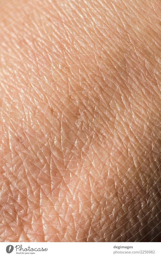 Human skin close up Body Skin Science & Research Human being Man Adults Clean Pink Consistency background health textured dermatology people medicine young