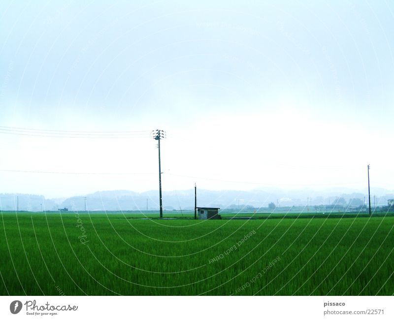 Japan Green Plain Hut Landscape