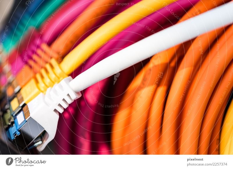 Colourful network cables Office Telecommunications To talk Information Technology Internet provider Computer Hardware Cable Server switch stroke router Email