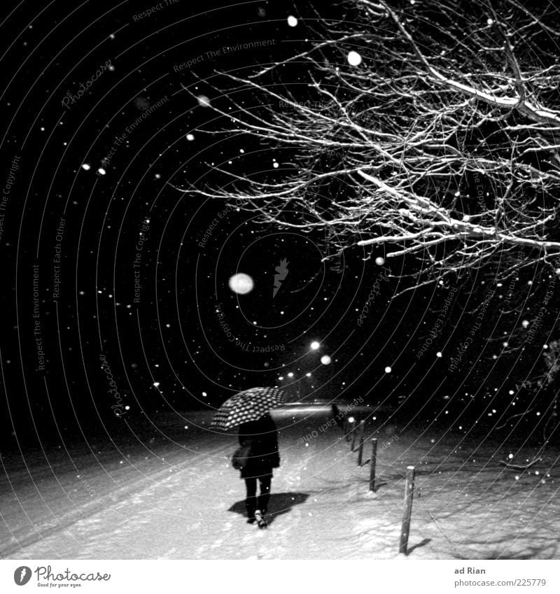 on the right track. Going 1 Human being Nature Ice Frost Snow Snowfall Tree Branch Contentment Expectation Advancement Black & white photo Night Flash photo