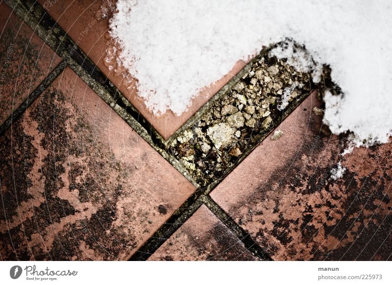in need of renovation Winter Ice Frost Snow Floor covering Paving tiles Tile Ground Stone Old Dirty Authentic Sharp-edged Cold Broken Retro Decline Transience