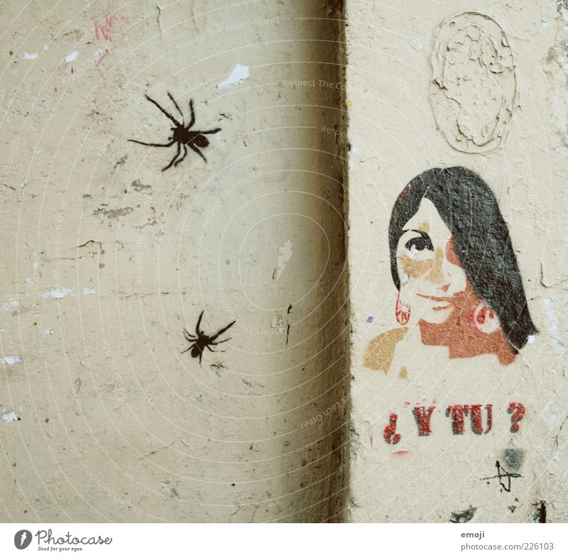 spiders Feminine Young woman Youth (Young adults) 1 Human being 18 - 30 years Adults Wall (barrier) Wall (building) Facade Old Spider Graffiti French Comic