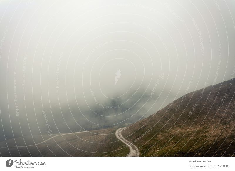 Road to nowhere! Hill Mountain Hiking no man's land Loneliness Fog Shroud of fog Fog bank Misty atmosphere Street Curve Motoring Threat Fear Colour photo