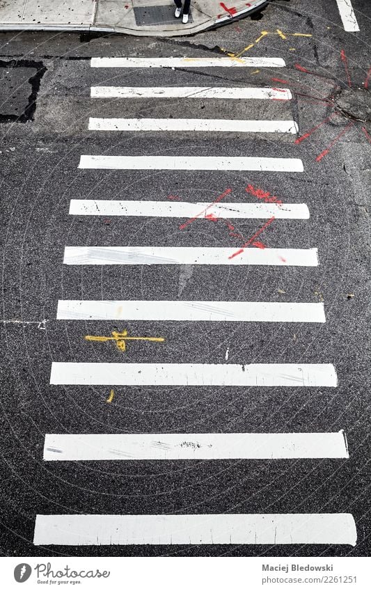 Pedestrian crossing in New York City from above. Town Street Road sign Cliche Black White Brave Safety Protection Obedient Concern Stress Relationship Resolve
