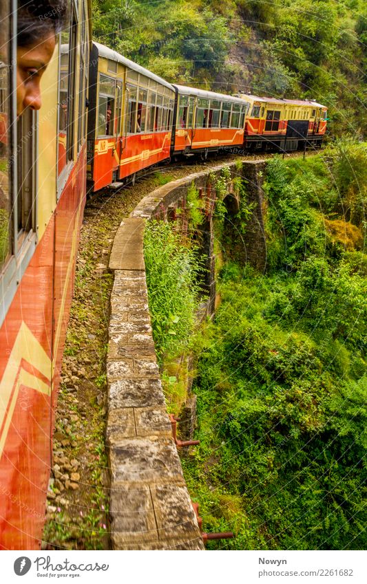 Train Ride in the Himalayas Contentment Vacation & Travel Tourism Trip Adventure Far-off places Freedom Sightseeing Environment Nature Landscape Plant Bushes