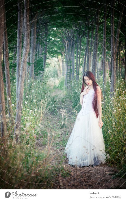 Natural bride Lifestyle Style Exotic Wedding Young woman Youth (Young adults) Youth culture Gothic style Nature Landscape Spring Tree Forest Authentic