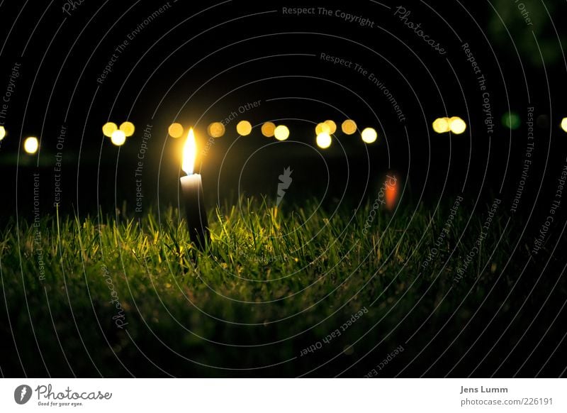 Light A Candle Calm Event Feasts & Celebrations Summer Grass Meadow Yellow Green Blade of grass Burn Dark Colour photo Exterior shot Deserted Copy Space right