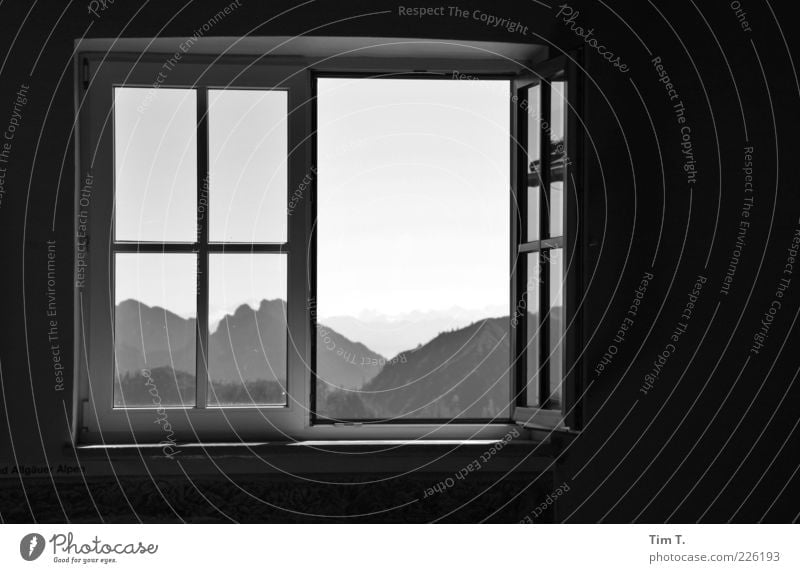 Window with view Environment Nature Landscape Forest Alps Mountain Wallberg Germany Europe Deserted Loneliness Open Black & white photo Interior shot