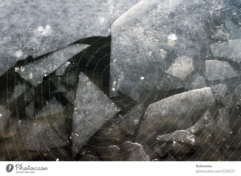 ice age Winter Environment Nature Water Climate Ice Frost Fluid Cold Broken Wet Natural Ice floe Ice sheet Colour photo Exterior shot Detail Deserted Day Light