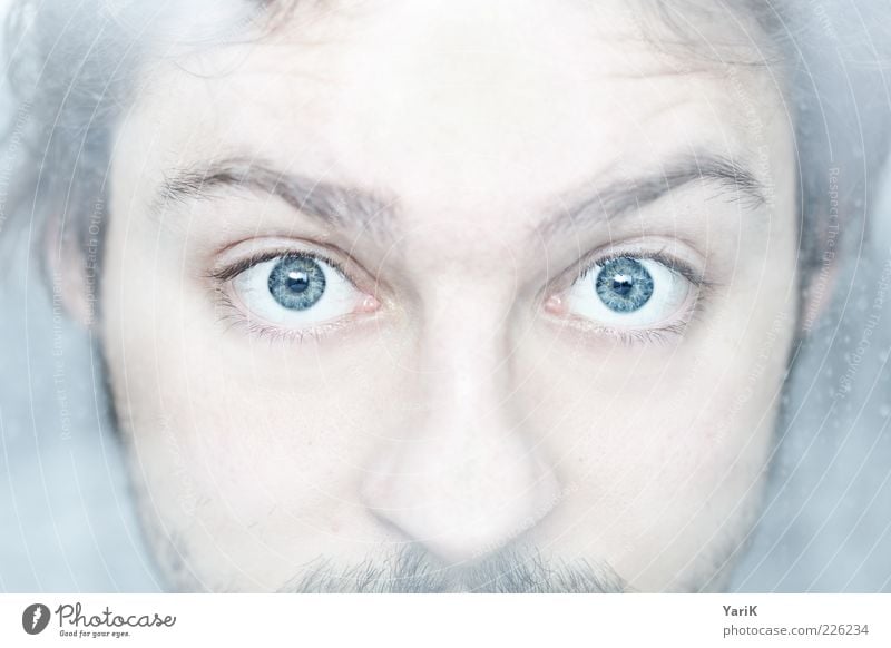 cold as eyes Masculine Young man Youth (Young adults) Man Adults Face 1 Human being 18 - 30 years Observe Discover Looking Cool (slang) Blue Eyes Facial hair