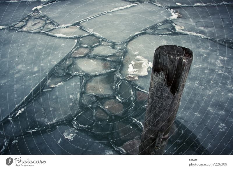 blunt Water Ice Frost Baltic Sea Ocean Wood Dark Cold Loneliness Frozen surface Ice sheet Pole Wooden stake Jetty Winter Colour photo Subdued colour
