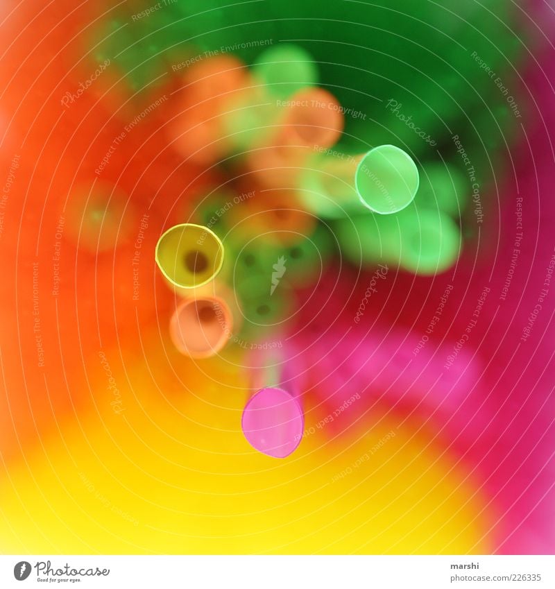 tubes Straw Multicoloured Yellow Green Pink Blade of grass Pipe Perspective Close-up Detail Gaudy Colour photo Blur Bird's-eye view Flashy Crazy Copy Space left