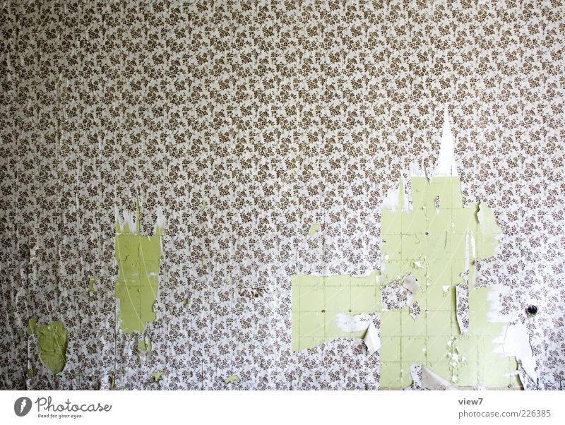 Wallpaper over it! Decoration Room Ornament Old Esthetic Authentic Kitsch Modern Design Uniqueness Decline Past Transience Living or residing Time Tile Broken