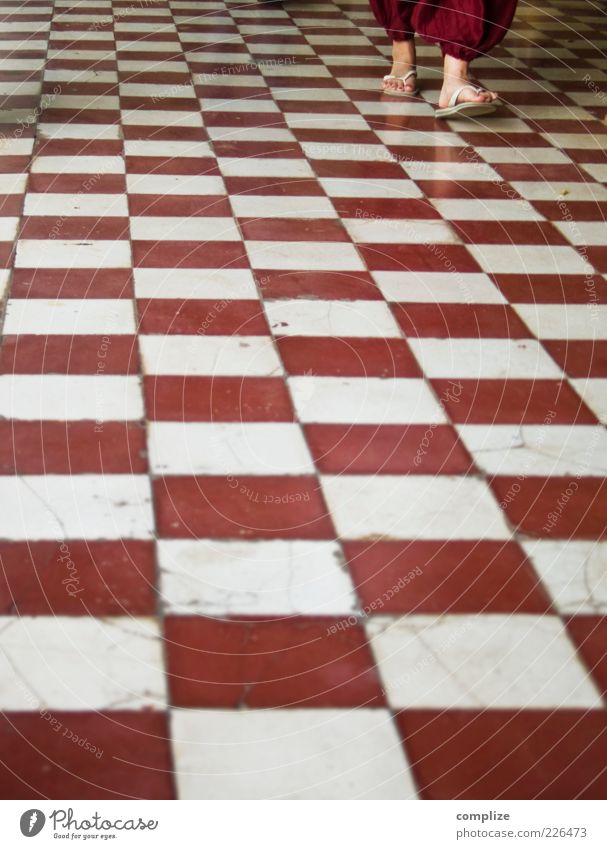 Chess in Bordeaux Style Living or residing Decoration Human being Legs Feet 1 Flip-flops Going Red White Pattern Colour photo Exterior shot Copy Space bottom