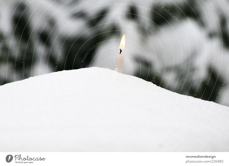 winter romance Fire Winter Emotions Moody Candle Pure White Shallow depth of field Heap Snow Candle flame Colour photo Deserted 1 Romance Hot Cold Exterior shot