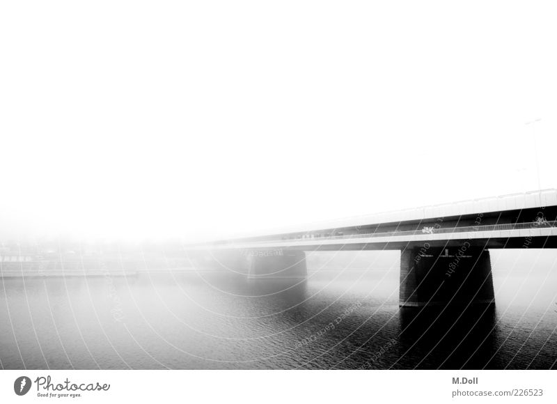 Danube island Capital city Outskirts Bridge Manmade structures Architecture Metal Art Fog Black & white photo Exterior shot Deserted Day Wide angle