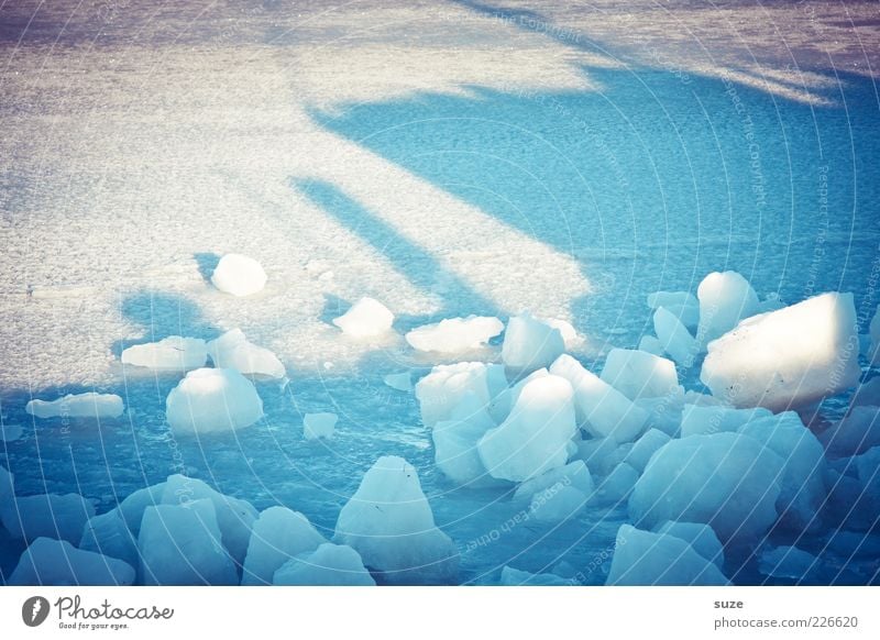 Up, into the light Environment Winter Climate Ice Frost Snow Harbour Cold Blue White Ice cube Snow layer Frozen Ice floe Pack ice Sunbeam Fragment Block of ice