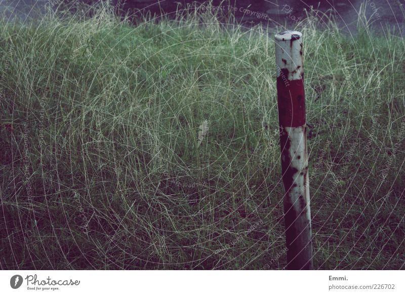 always Plant Grass Old Broken Gloomy Green Red White Unwavering Badlands Colour photo Exterior shot Deserted Day Long shot Rust Red-white-red Pole Boundary