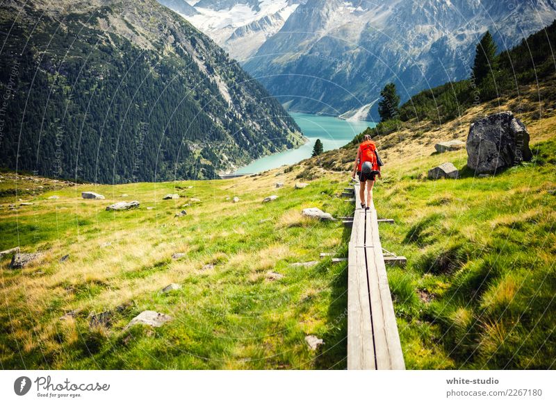 A path to adventure! Mountain Hiking To go for a walk Footpath Lanes & trails Events Dolomites South Tyrol Colour photo