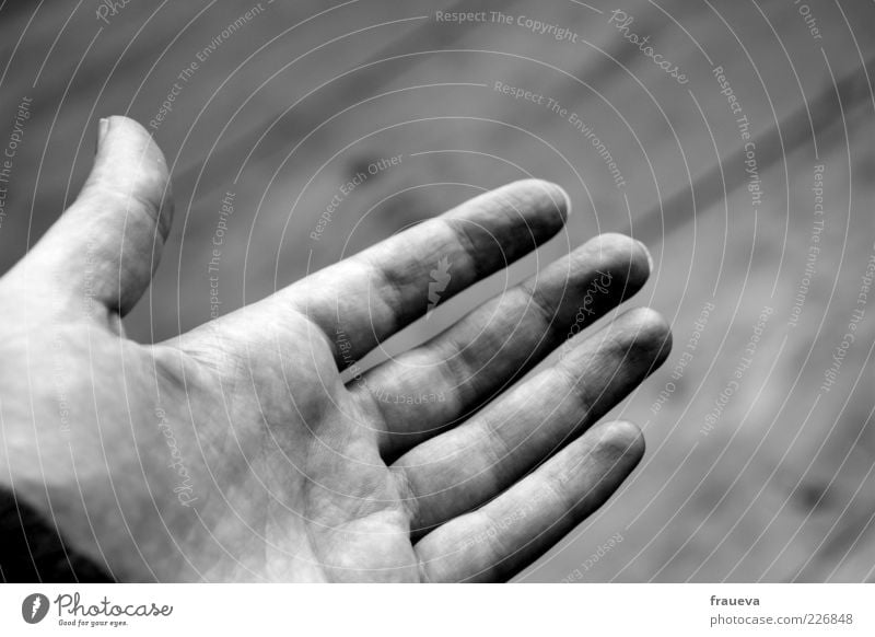 Give me your hand. Human being Woman Adults Hand Fingers 1 Trust Help Handshake Black & white photo Interior shot Day Artificial light Deep depth of field