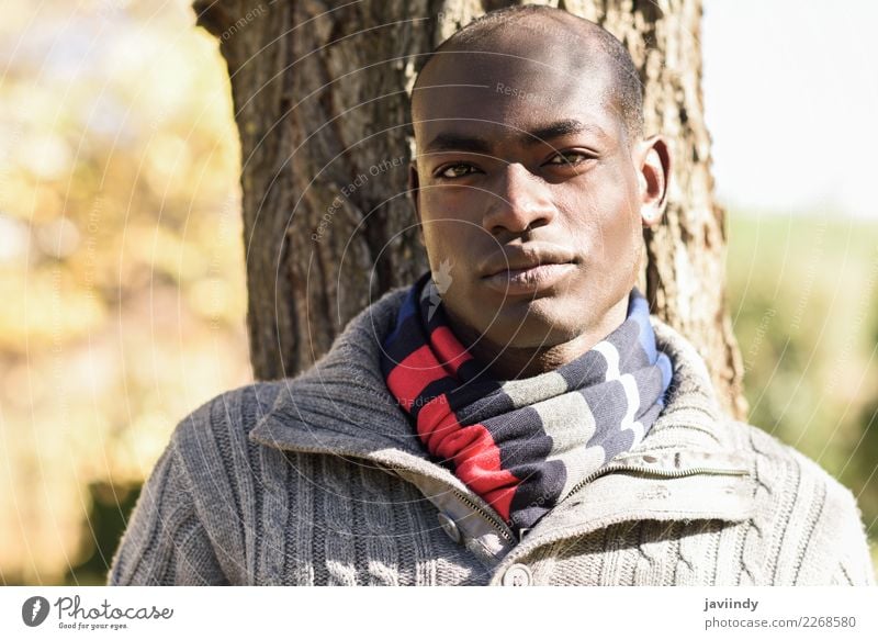 Young attractive black man wearing casual clothes in urban park Beautiful Human being Masculine Young man Youth (Young adults) Man Adults 1 18 - 30 years Street