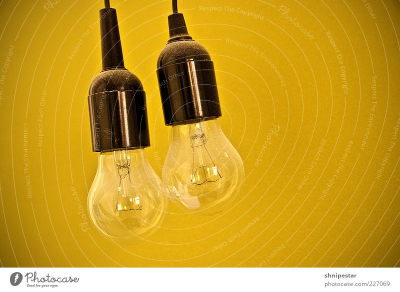 Two traditional light bulbs Lamp Electric bulb Energy industry Energy crisis Light Colour photo Interior shot Copy Space right Isolated Image Neutral Background
