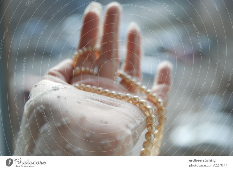 Tand with human hand Feasts & Celebrations Feminine Hand Fingers Cloth Lace Gloves Glittering Round Anticipation Pearl necklace Bride Blur Delicate Colour photo