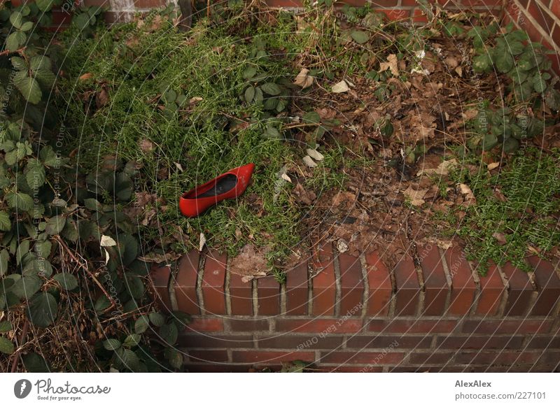 individual destiny Bushes Park Deserted Wall (barrier) Wall (building) Clothing Footwear Brick Leather Green Red Loneliness Lose Leaf Doomed Colour photo