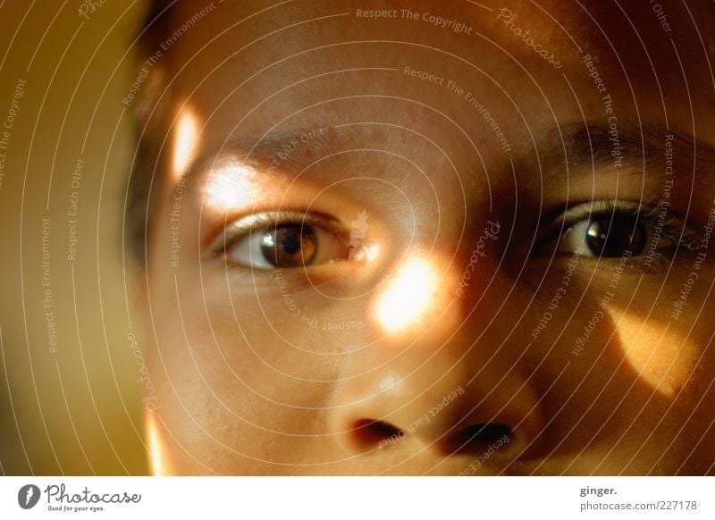 LichtBlick (boy portrait with light reflection - detail) Well-being Contentment Human being Masculine Boy (child) Infancy Youth (Young adults) Face Eyes Nose 1