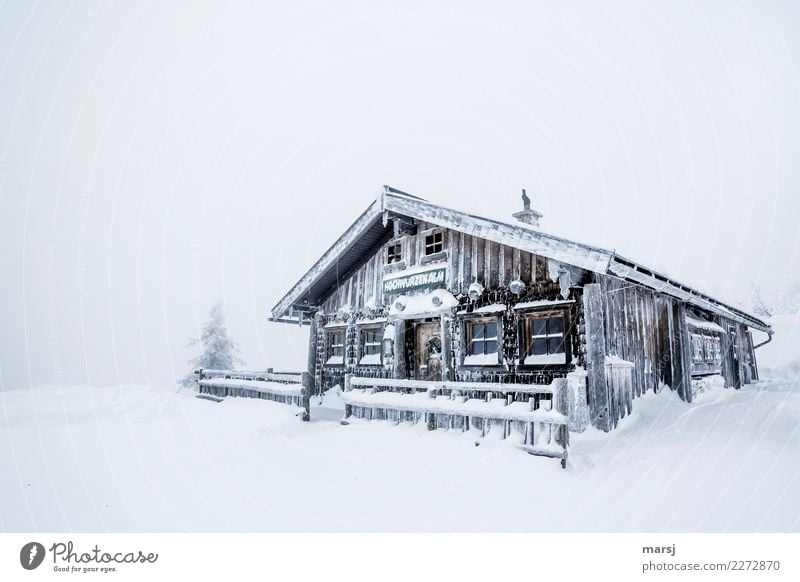 ripple Winter Weather Gale Ice Frost Snow Snowfall Wood Cold Chalet vacation Hut Alpine hut Homey Anticipation Protection Winter vacation Colour photo