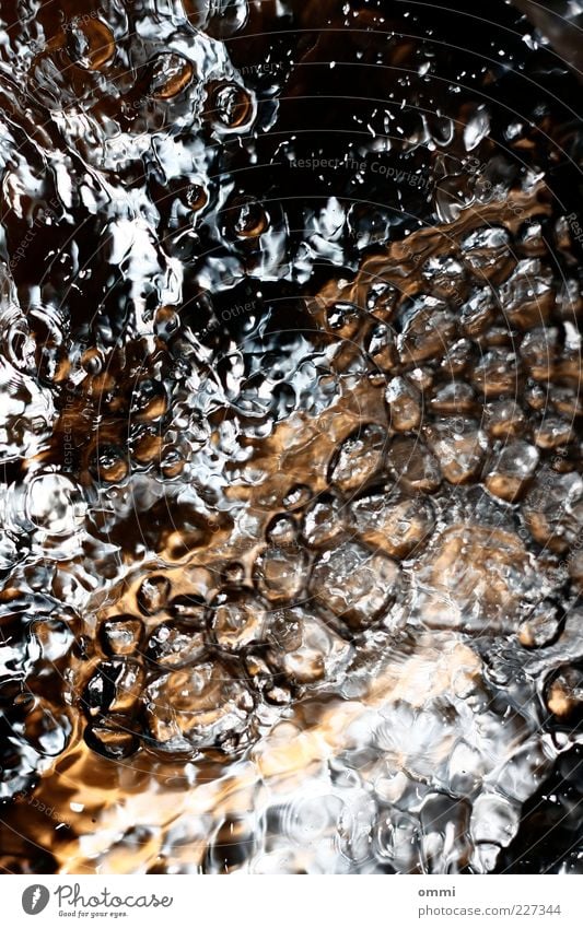 Some water Water Fresh Cold Wet Clean Wild Authentic Movement Bubbling Bubble Fluid Interior shot Close-up Detail Abstract Structures and shapes Flash photo