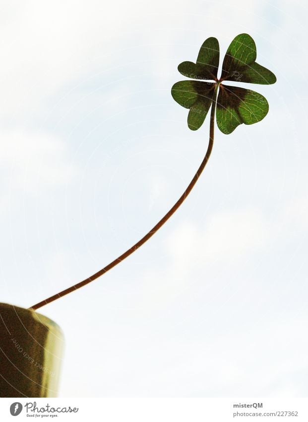 From the pursuit of happiness... Happy Good luck charm Four-leafed clover Clover Cloverleaf Flowerpot Growth Target Aspire Green Stalk Long