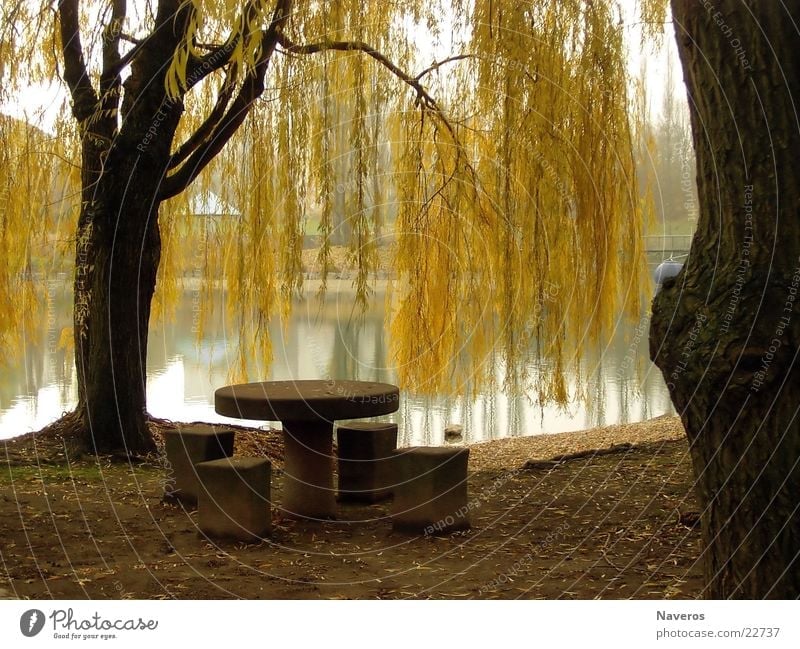 Abandoned Park I Table Tree Autumn Lake Sea park Deserted Yellow Brown Loneliness Water Nature