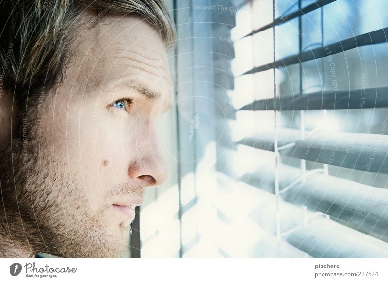 look to the future... Masculine Face 18 - 30 years Youth (Young adults) Adults Observe Looking Wait Blue Loneliness Expectation Future Window Venetian blinds