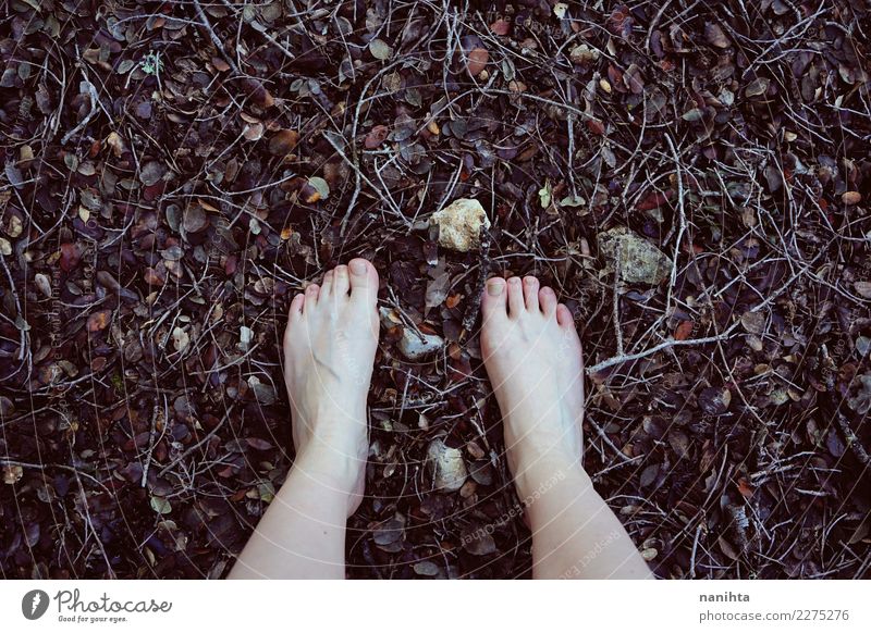 Feet walking on forest floor Design Skin Barefoot Wellness Harmonious Senses Relaxation Calm Freedom Human being Youth (Young adults) 1 Environment Nature