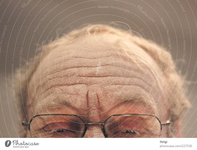 Forehead, hair and eyes with glasses of a male senior are covered with dust Human being Masculine Man Adults Male senior Senior citizen Life Skin Head