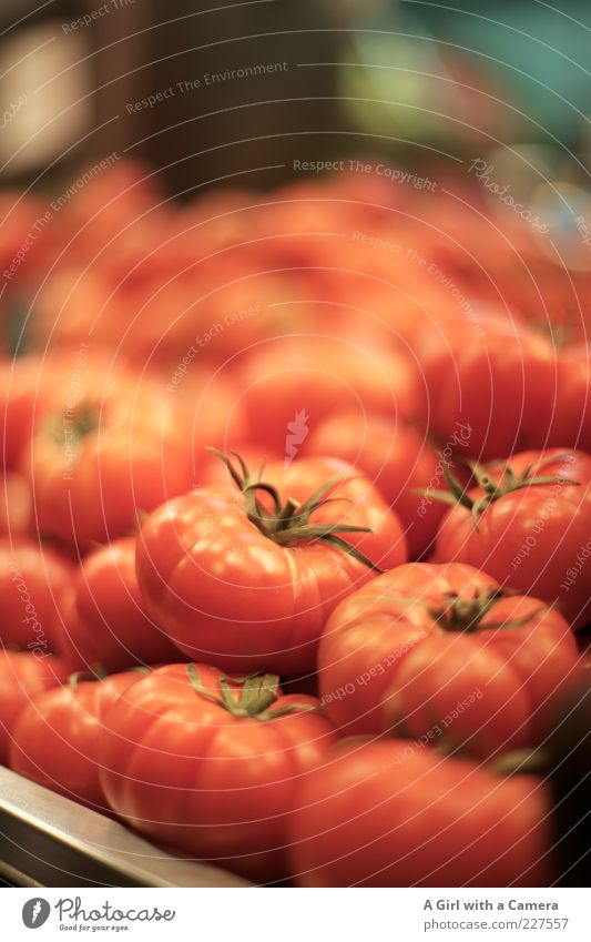 same same but slightly different Food Tomato Nutrition Organic produce Vegetarian diet Lie Happiness Fresh Healthy Glittering Large Natural Round Red