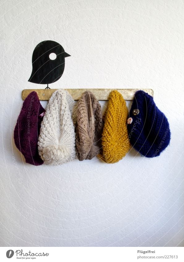 The early bird can use a hat! Cap Hang Bird Accessory Wall (building) Clothing Multicoloured Animal wall tattoo Cold Hang up Decoration Woolen hat