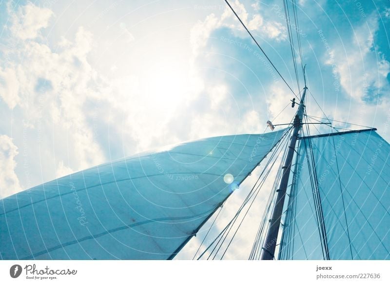Great freedom Vacation & Travel Trip Freedom Summer Sun Sky Clouds Wind Sailing ship Blue Moody Wanderlust Mast Sailing trip Colour photo Exterior shot Day