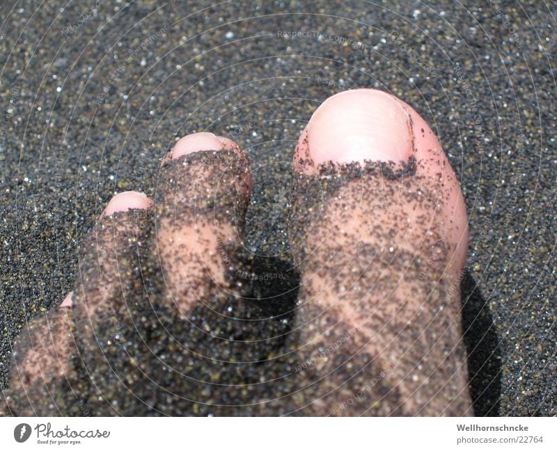 sand feeling Beach Vacation & Travel Toes Air Nail Grain Black Feet Sand Emotions Barefoot