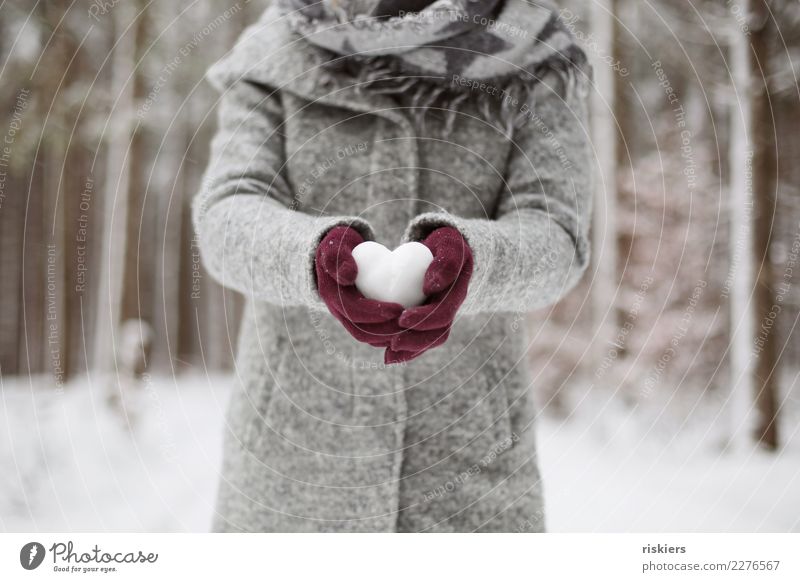 Snow heart ii Feminine Woman Adults 1 Human being Environment Nature Winter Snowfall Forest To hold on Gray Red White Contentment Joie de vivre (Vitality)