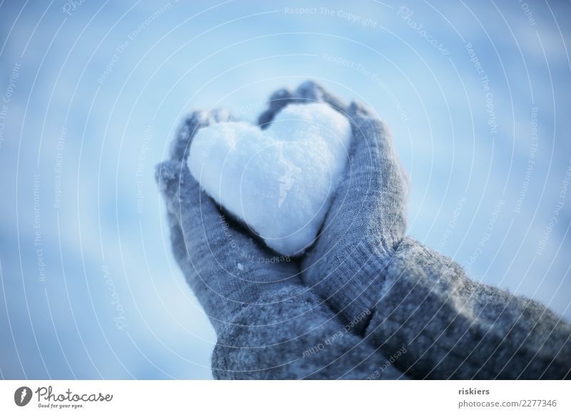 snow heart Human being Hand Winter Beautiful weather Snow Gloves To hold on Blue Gray White Happy Joie de vivre (Vitality) Love Heart Colour photo Exterior shot