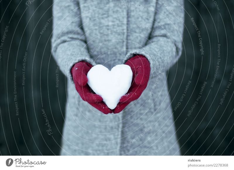 Winter love iii Woman Adults 1 Human being Snow Coat Gloves To hold on Gray Red White Happy Contentment Joie de vivre (Vitality) Love snow heart Heart