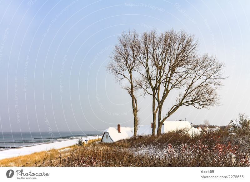 Baltic Sea coast in Ahrenshoop in winter Relaxation Vacation & Travel Tourism Ocean Winter House (Residential Structure) Nature Landscape Water Clouds Climate